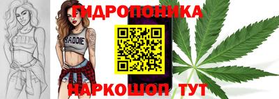 крисы Кинель