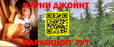 мяу мяу мука Кингисепп