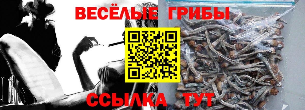 Бошки Шишки  ГАШИШ  COCAIN  Меф кристаллы  Крымск  Вход с VPN  ГАШ 